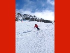 Bild Skifahren10.jpg anzeigen.